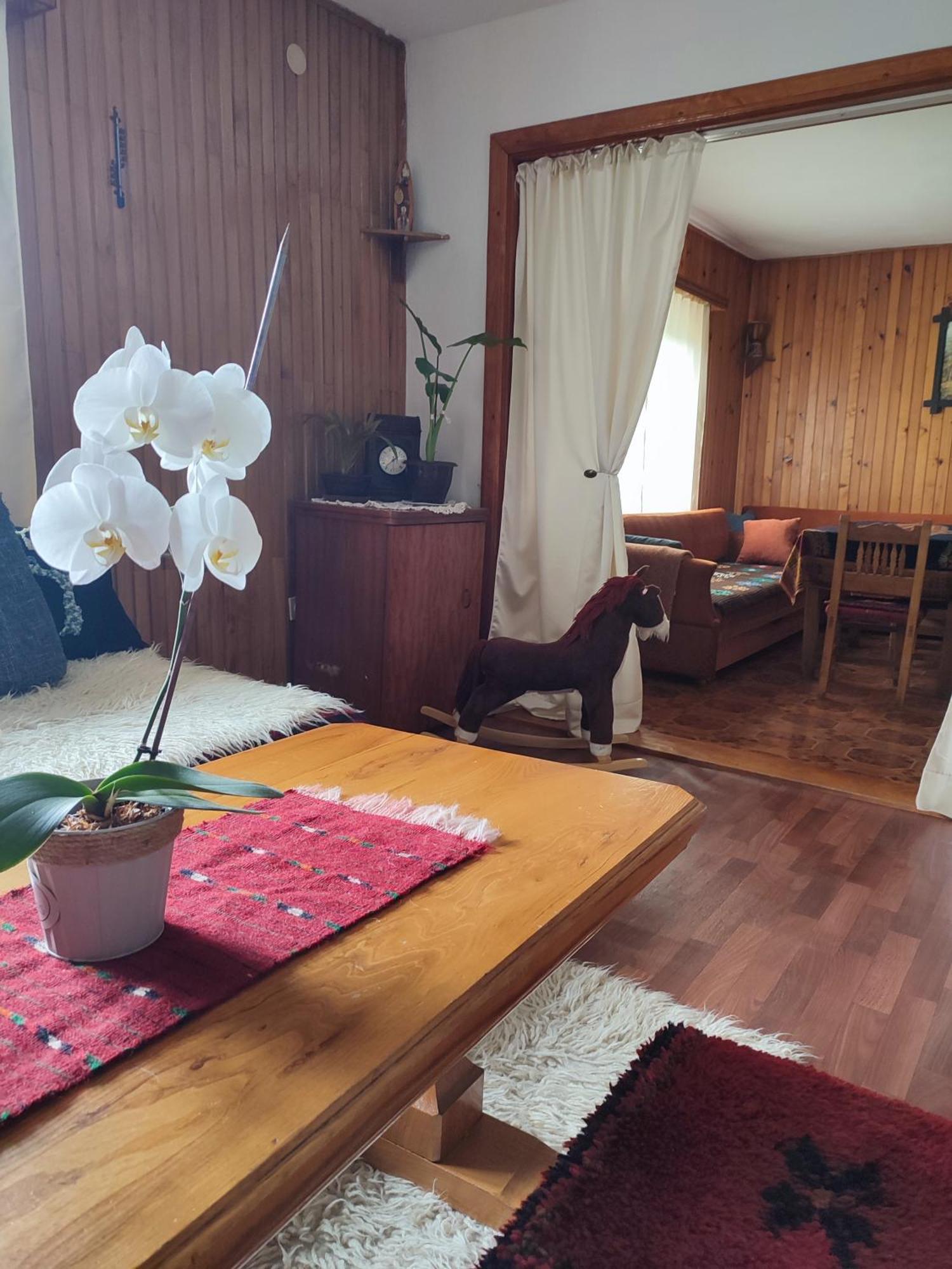 Cemerno Cottage Gacko Eksteriør bilde